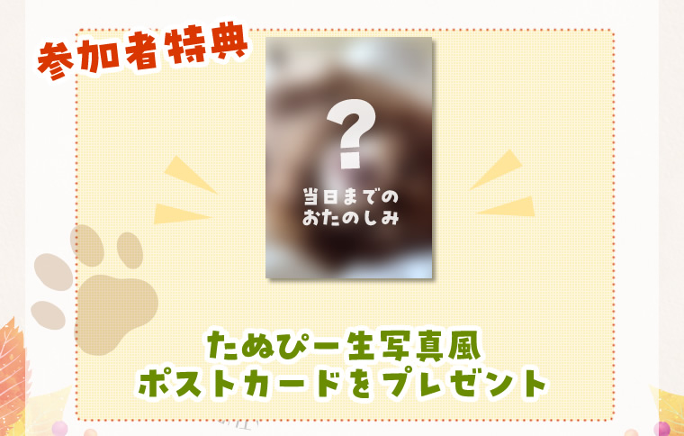 秋のキャンペーン（2026/10/19-11/1）ふなっしートークショー2026秋　ふなほれワンワンフェス　たぬぴーを添えて